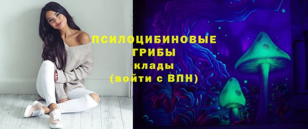 прущие крисы Белоозёрский