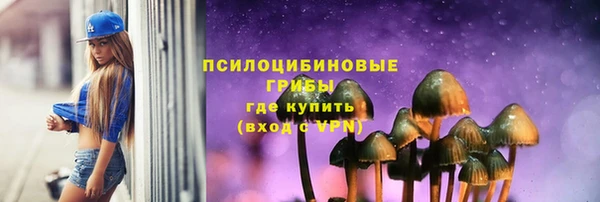 мет Белокуриха