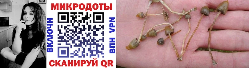 Галлюциногенные грибы GOLDEN TEACHER  Нерехта 